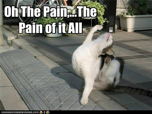 "Does It Hurt?": Pain Management and Why You're Going To Be Totally Fine