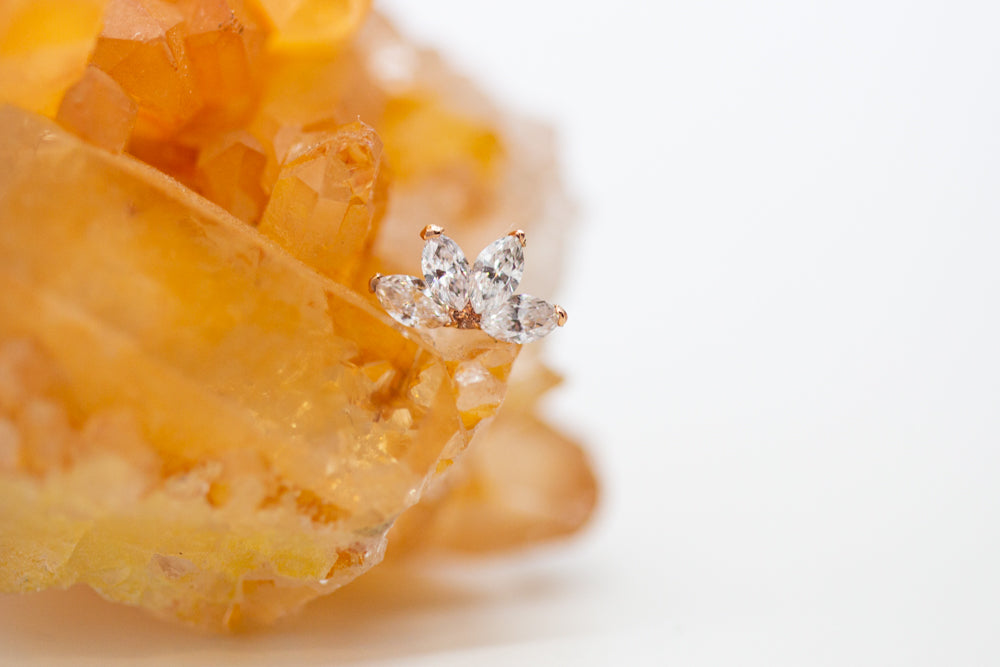 Quadruple Diamond Marquis Fan | 14K Threadless Top For Nose, Ears & Lip - Avanti Body Jewelry