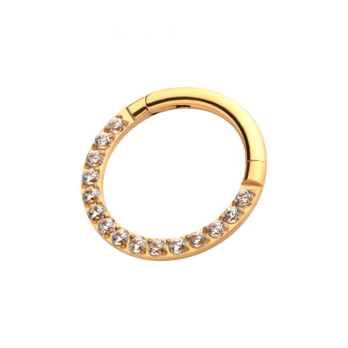 Hinged Ring Clear CZ Eternity Front Facing | Titanium Clicker Segment Hoop Ring - Avanti Body Jewelry